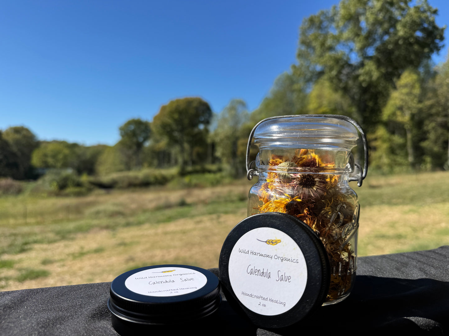 Calendula Salve